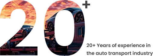 20 PLus