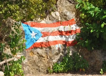 Driving in Puerto Rico: Safety Tips and Local Insights