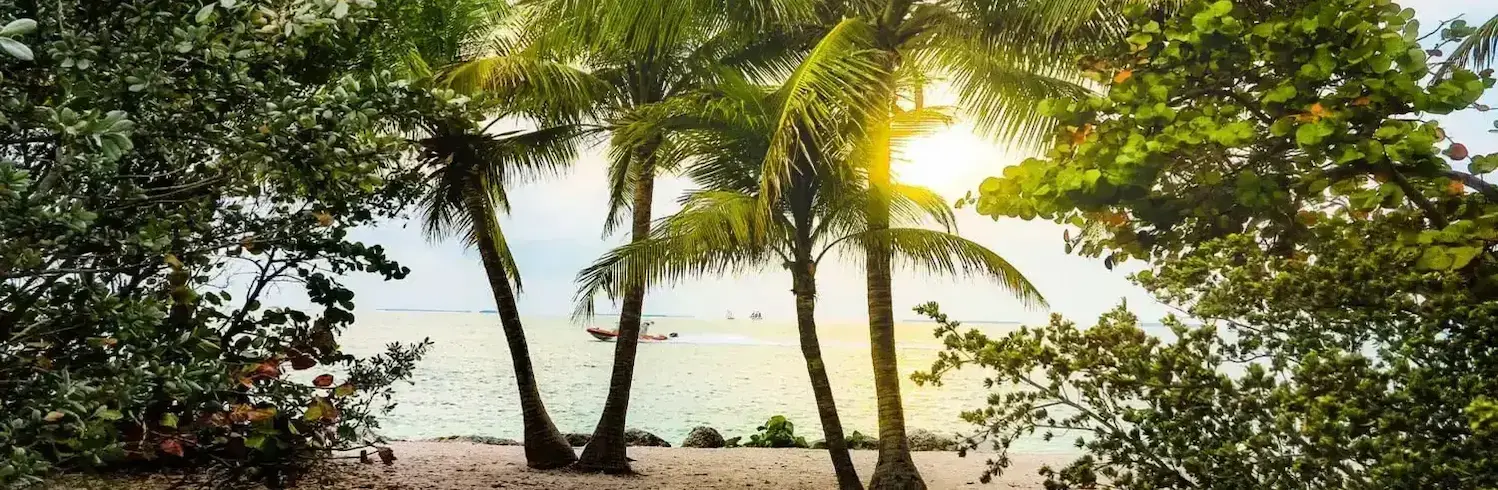 Florida car shipping services by AmeriFreight — sunny coastal highway scene