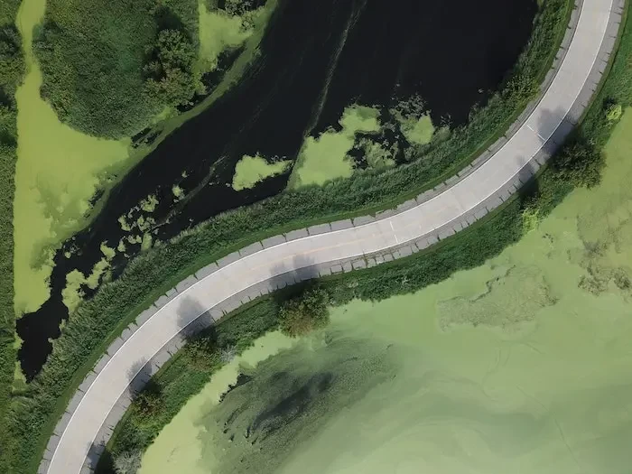  aerial view of curved road between green shrubs small