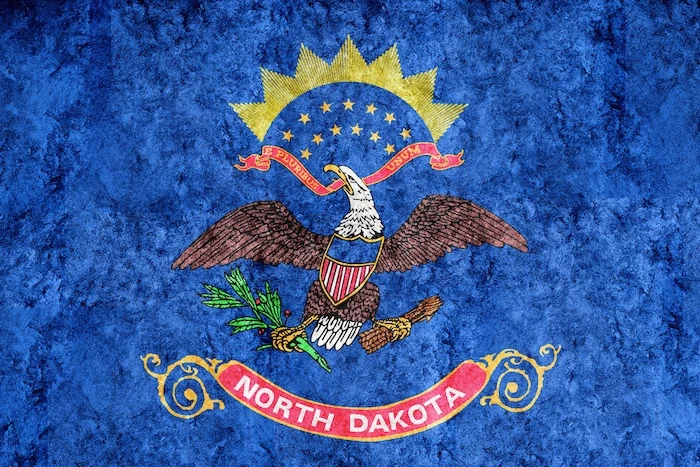  north dakota state flag small