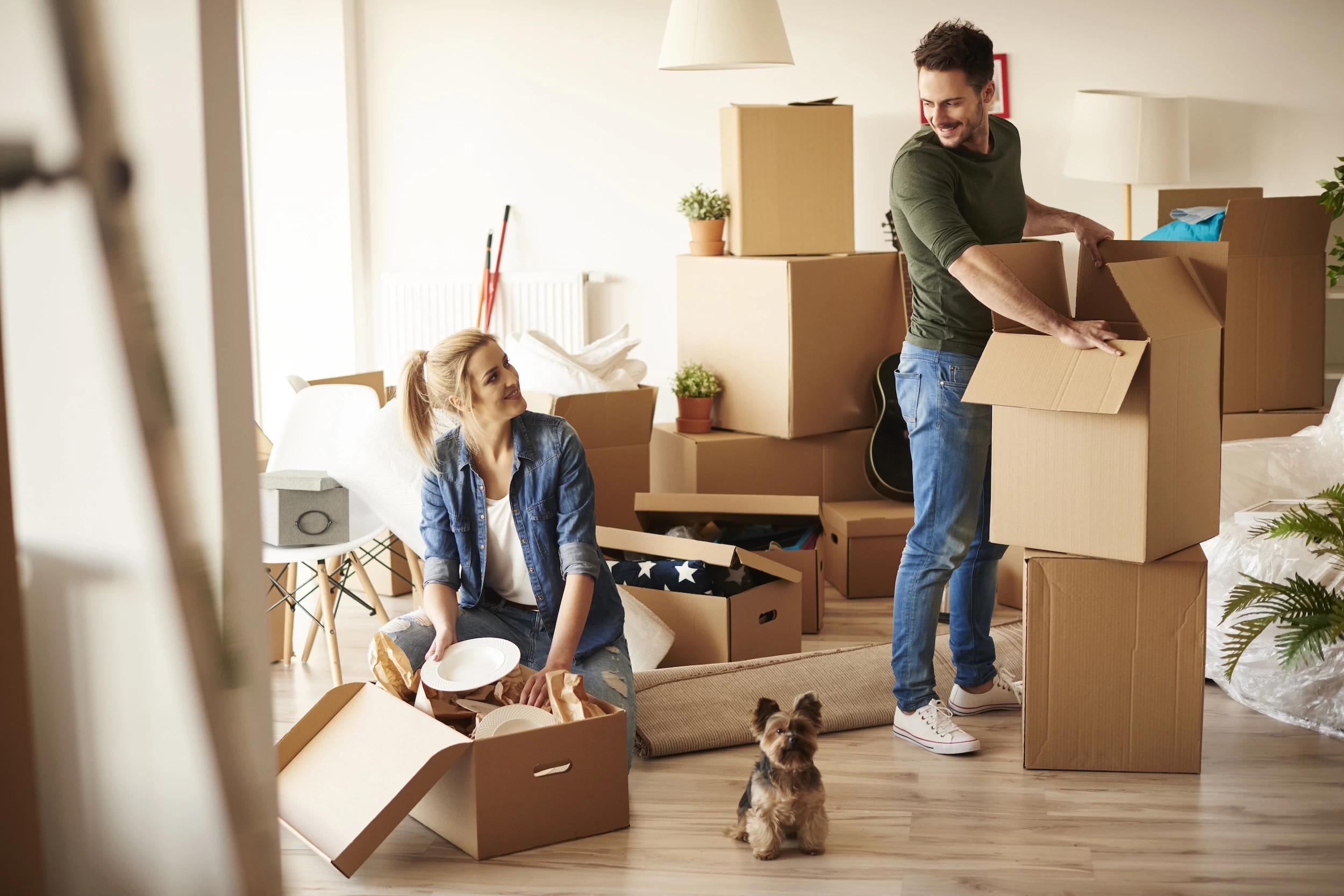  young couple new apartment with small dog