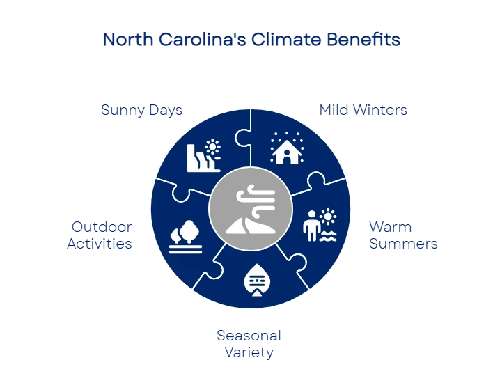 176159266668ffc55a566b3 800