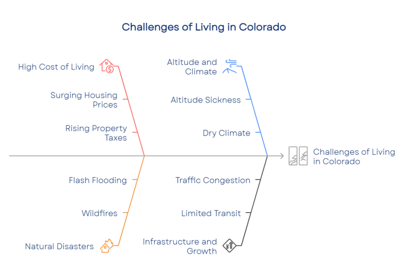 176133764568fbe12d85005 800