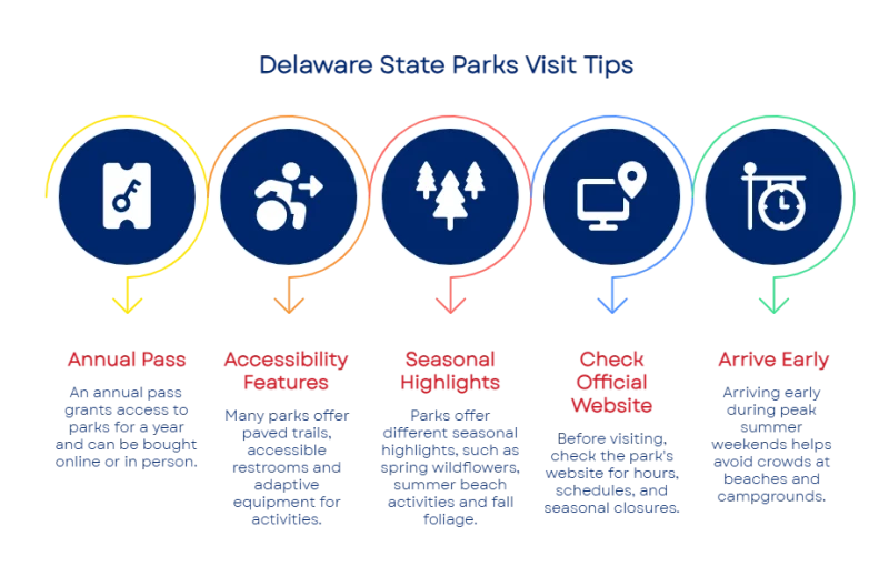 175979693868e45eca9b07f 800