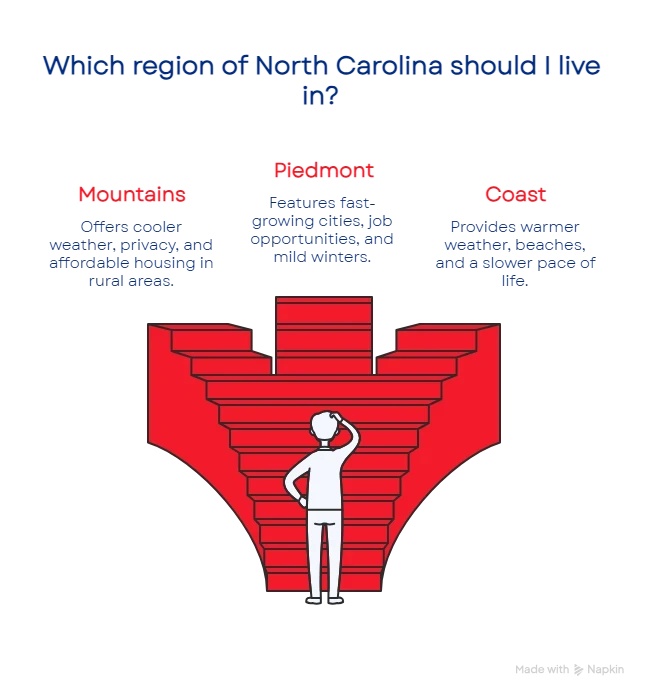 1754679206689647a62993b 800