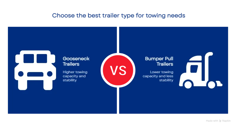 1754679535689648ef8d81c 800