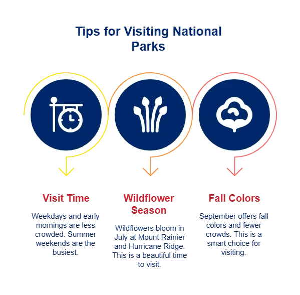 175566339968a54c2768013 800