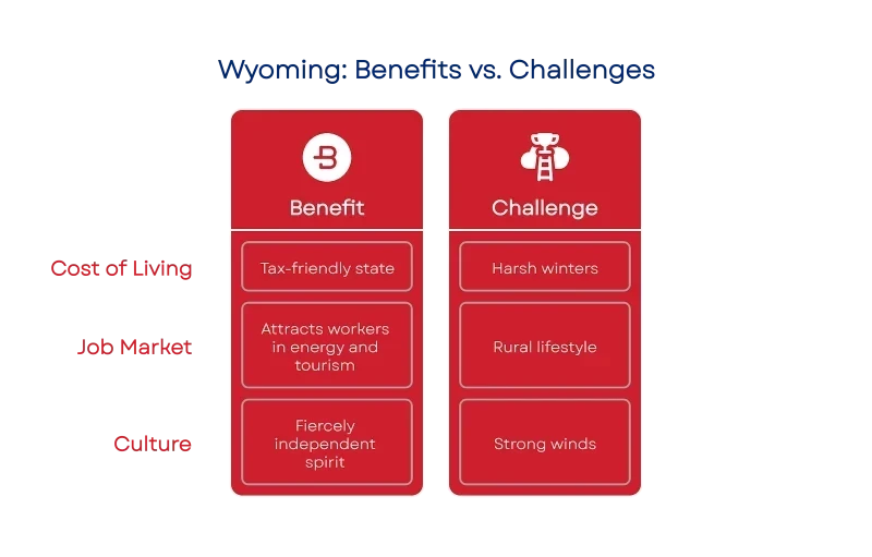 175684062868b742b46bb76 800