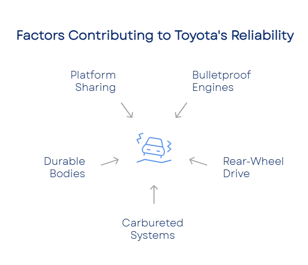 1751402174686446be84ed5 800