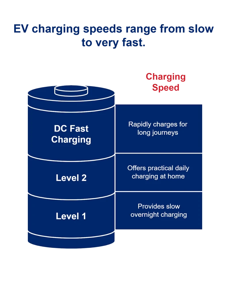 1750958625685d8221ef62e 800