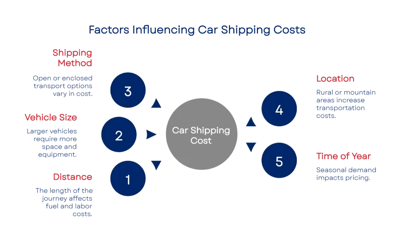 1750960859685d8adbbcc34 800