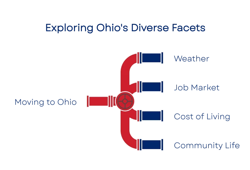 1750055992684fbc38cf59e 800