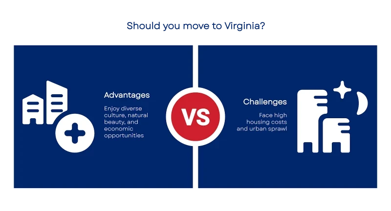 1750049617684fa35185ce2 800