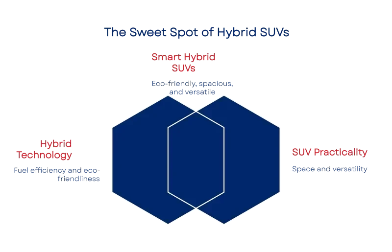 Image of 1748944012683ec48c9f447 800