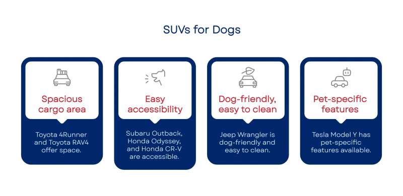 1750069467684ff0dbd1101 800