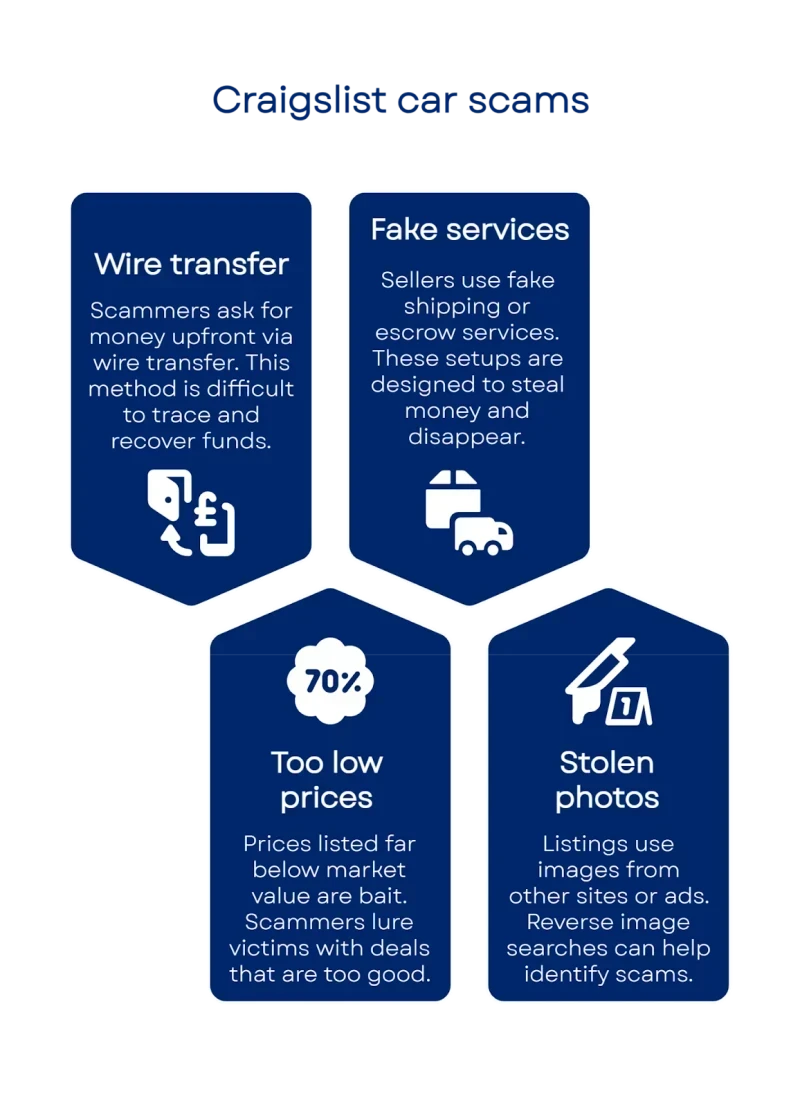 17500757716850097b565b3 800