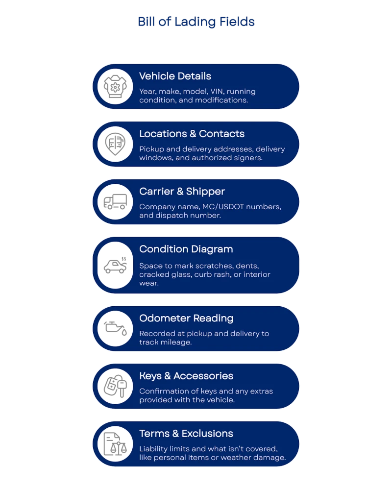 YcaFX0AAAAGSURBVAMA6GOybH3PlokAAAAASUVORK5CYII=