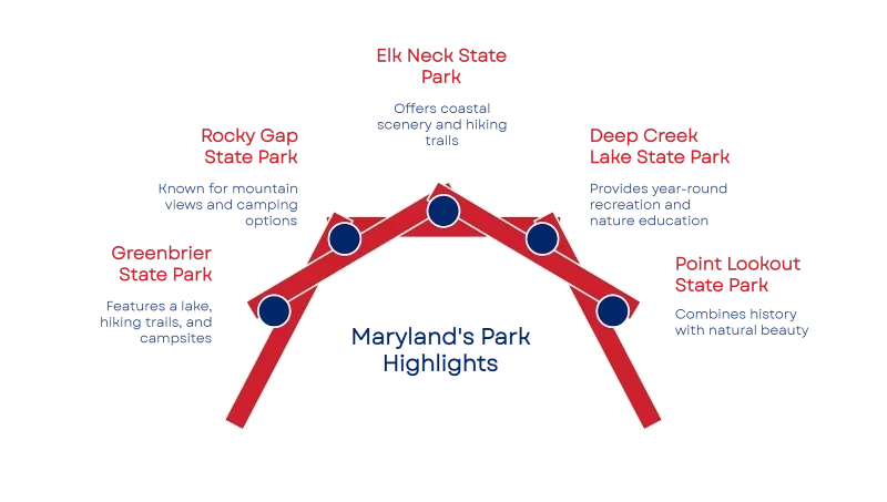 1762290614690a6bb6dbcaf 800