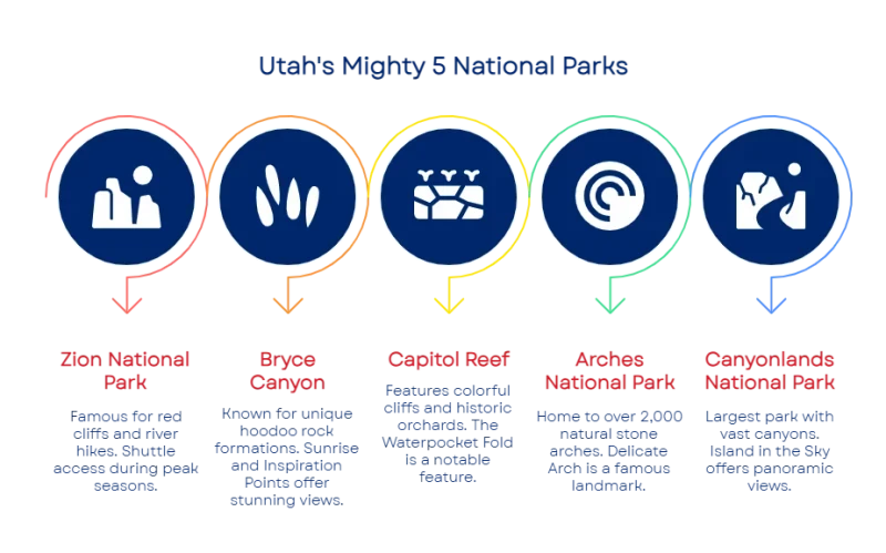 1762290977690a6d216837a 800