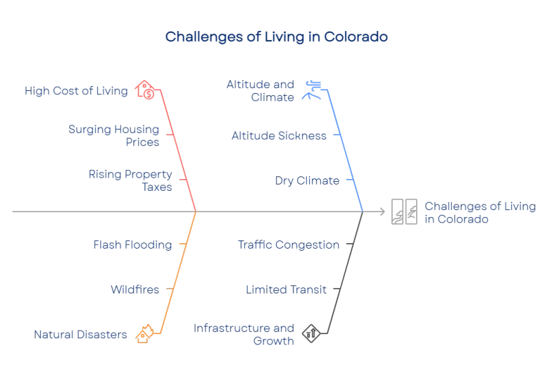 176133764568fbe12d85005 800