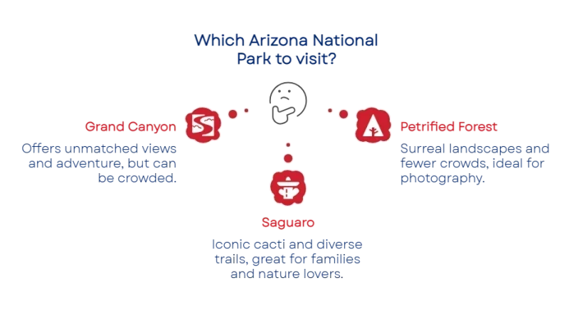 175641269468b0bb16786f0 800