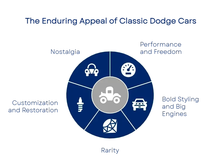 175770459568c47193b817d 800