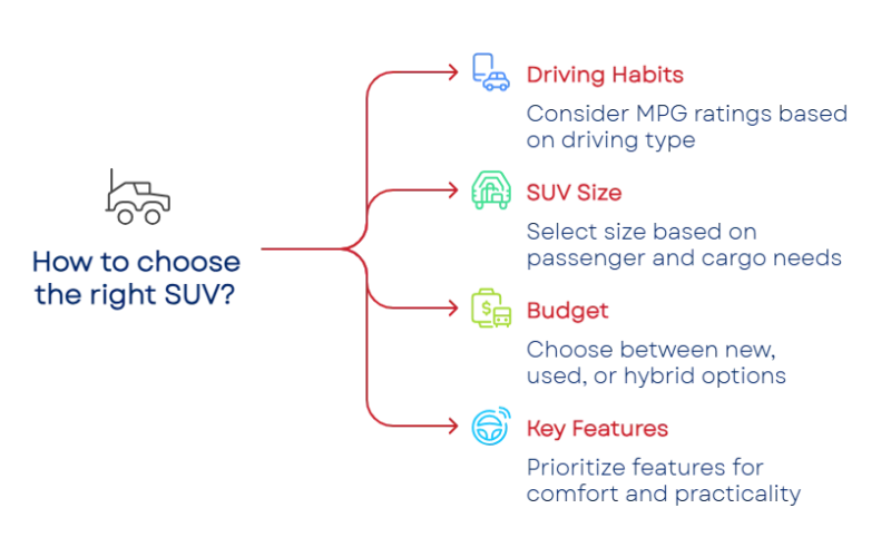 175554123668a36ef433048 800