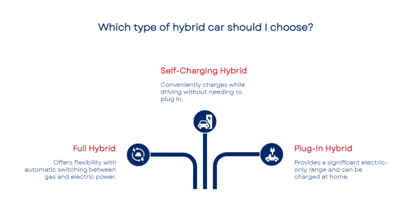 17526926646877f7b81d5af 800