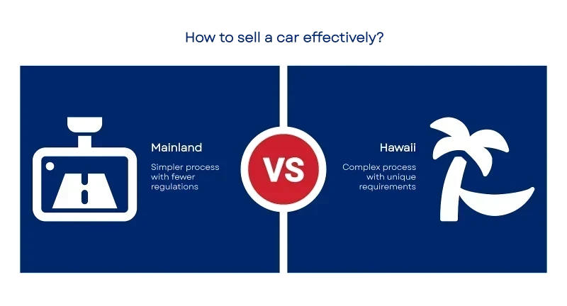 175877380168d4c229334f1 800