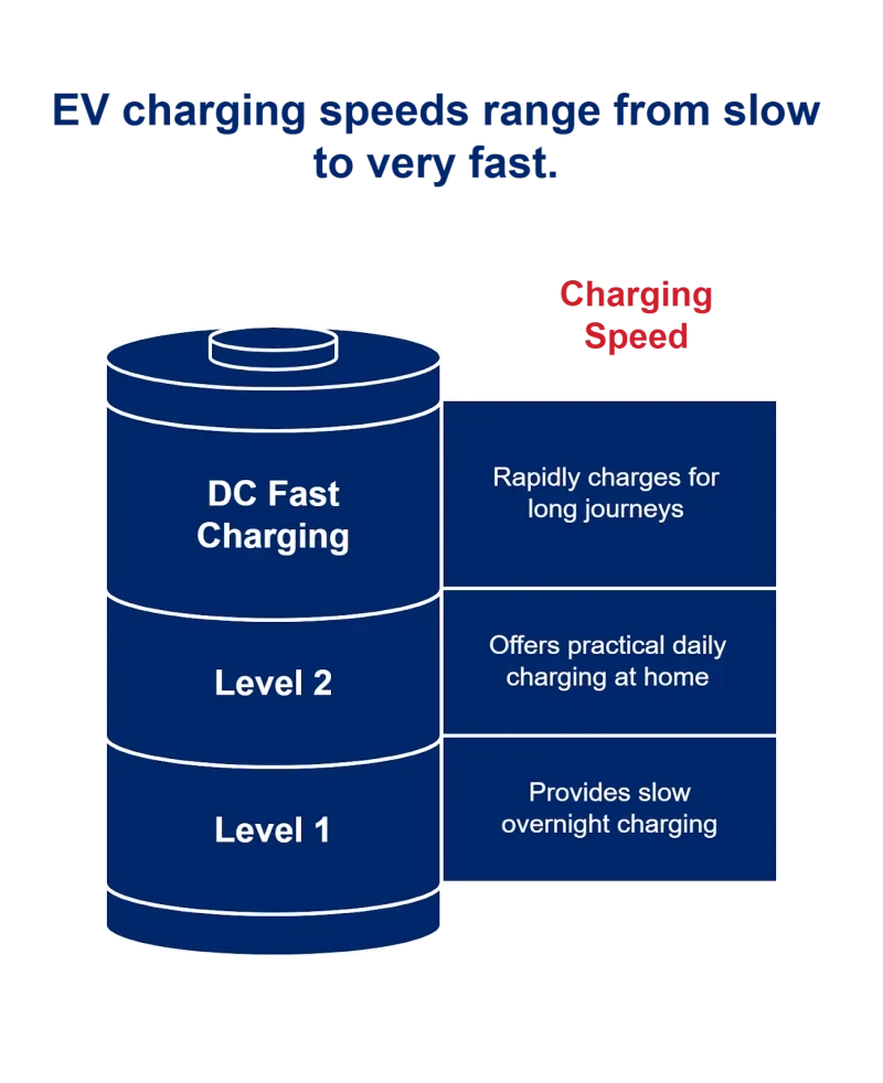 1750958625685d8221ef62e 800