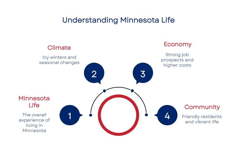 1750059230684fc8de93154 800