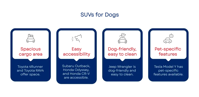 1750069467684ff0dbd1101 800