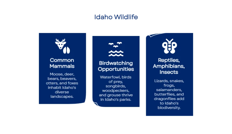 9h4dQWAAAABklEQVQDACBHaU8x2dP6AAAAAElFTkSuQmCC