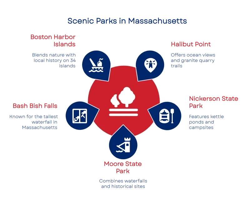 0CNvu8AAAAGSURBVAMAxBs1hWDd67cAAAAASUVORK5CYII=