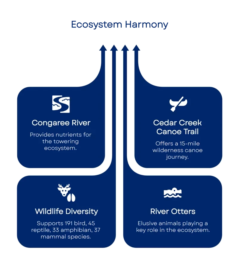 A3+xIgAAAAZJREFUAwD59HVDQlx01gAAAABJRU5ErkJggg==