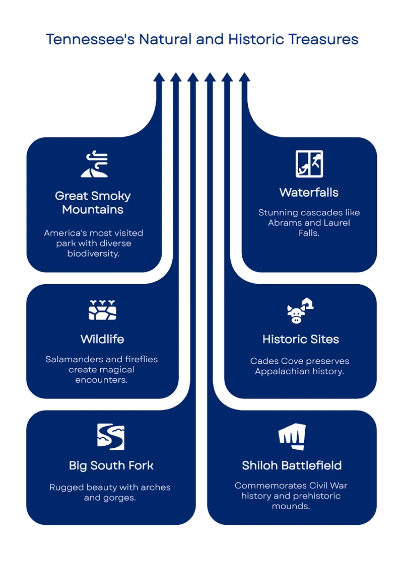 ZcEEvoAAAAGSURBVAMAqLljUNGJ9osAAAAASUVORK5CYII=