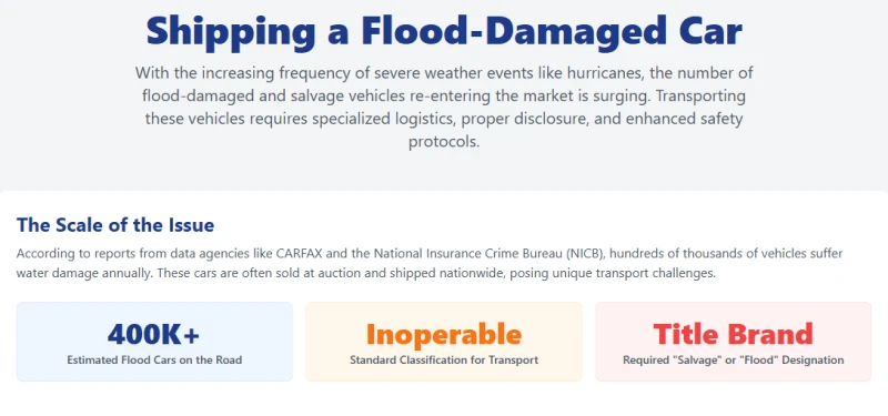 8J+ZwgAAAABklEQVQDAFwg8otTFEQDAAAAAElFTkSuQmCC