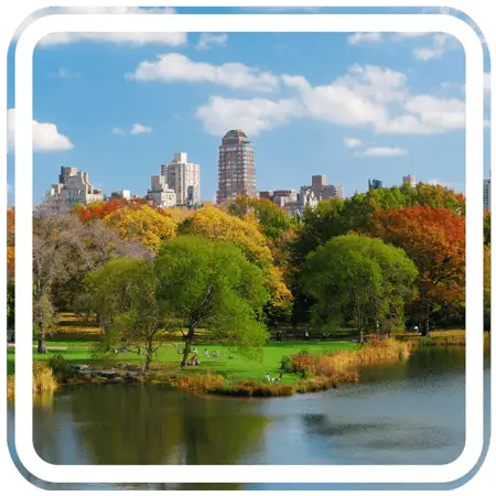 The image shows a lake with trees lining the shore in the foreground. In the background, there are buildings, including skyscrapers.