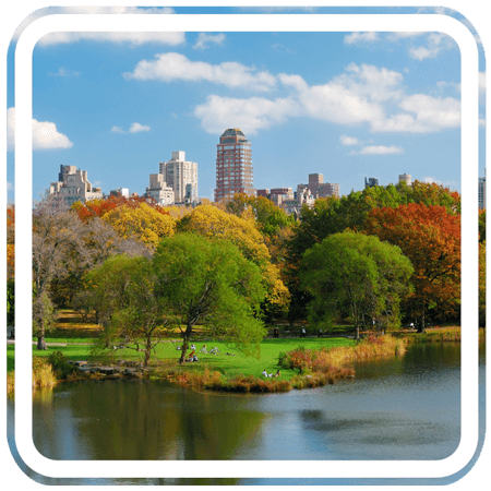 The image shows a lake with trees lining the shore in the foreground. In the background, there are buildings, including skyscrapers.