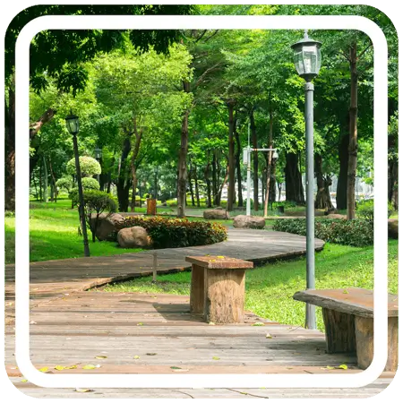 A wooden walkway winding through a green park. The walkway is made of weathered planks and has several benches along the side. Tall trees line the path, and there is a grassy area to the left of the walkway.