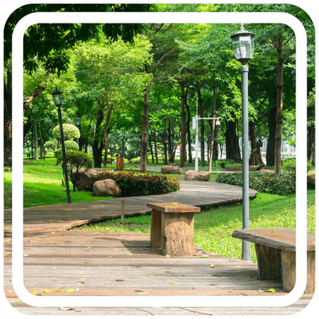 A wooden walkway winding through a green park. The walkway is made of weathered planks and has several benches along the side. Tall trees line the path, and there is a grassy area to the left of the walkway.