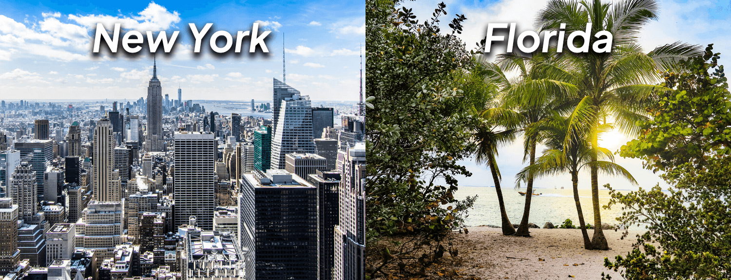 The image is divided into two sections. The left side shows an aerial view of a New York City skyline with the words New York written in the center. The right side depicts a sunny landscape with trees, with the word Florida positioned in the middle.