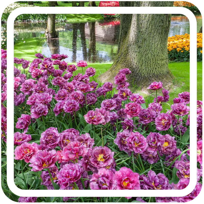 gardens