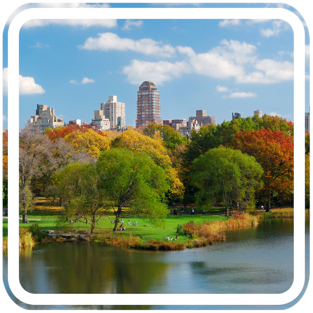 City Scape